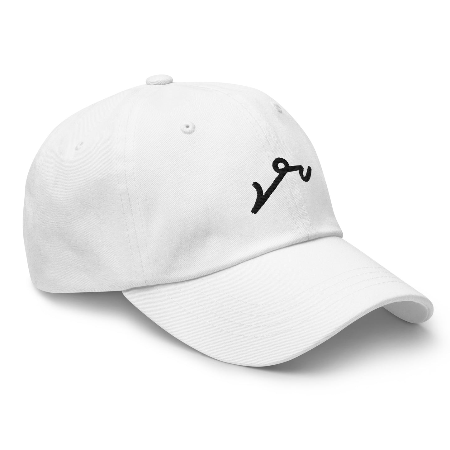 Steno Hat